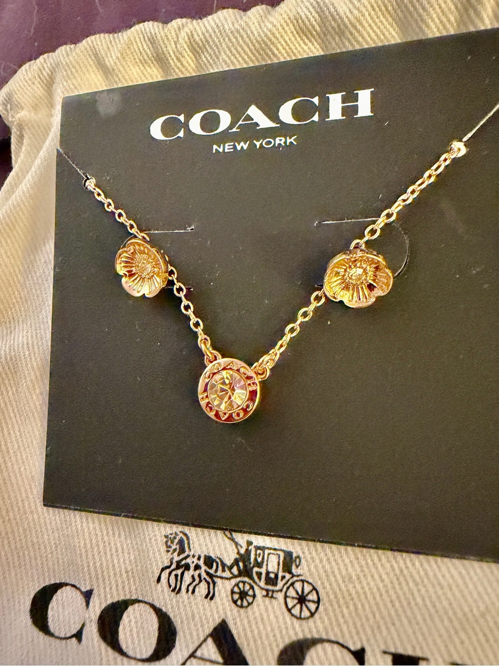 Coach Gold Floral Medallion Necklace and Earrings Set NWT